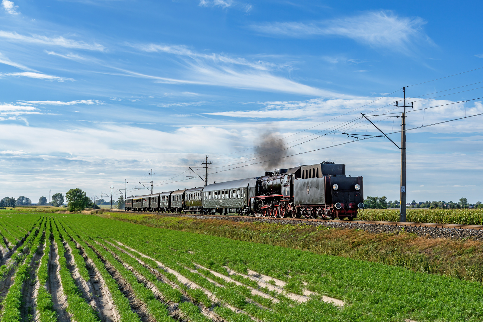 Pt47-65