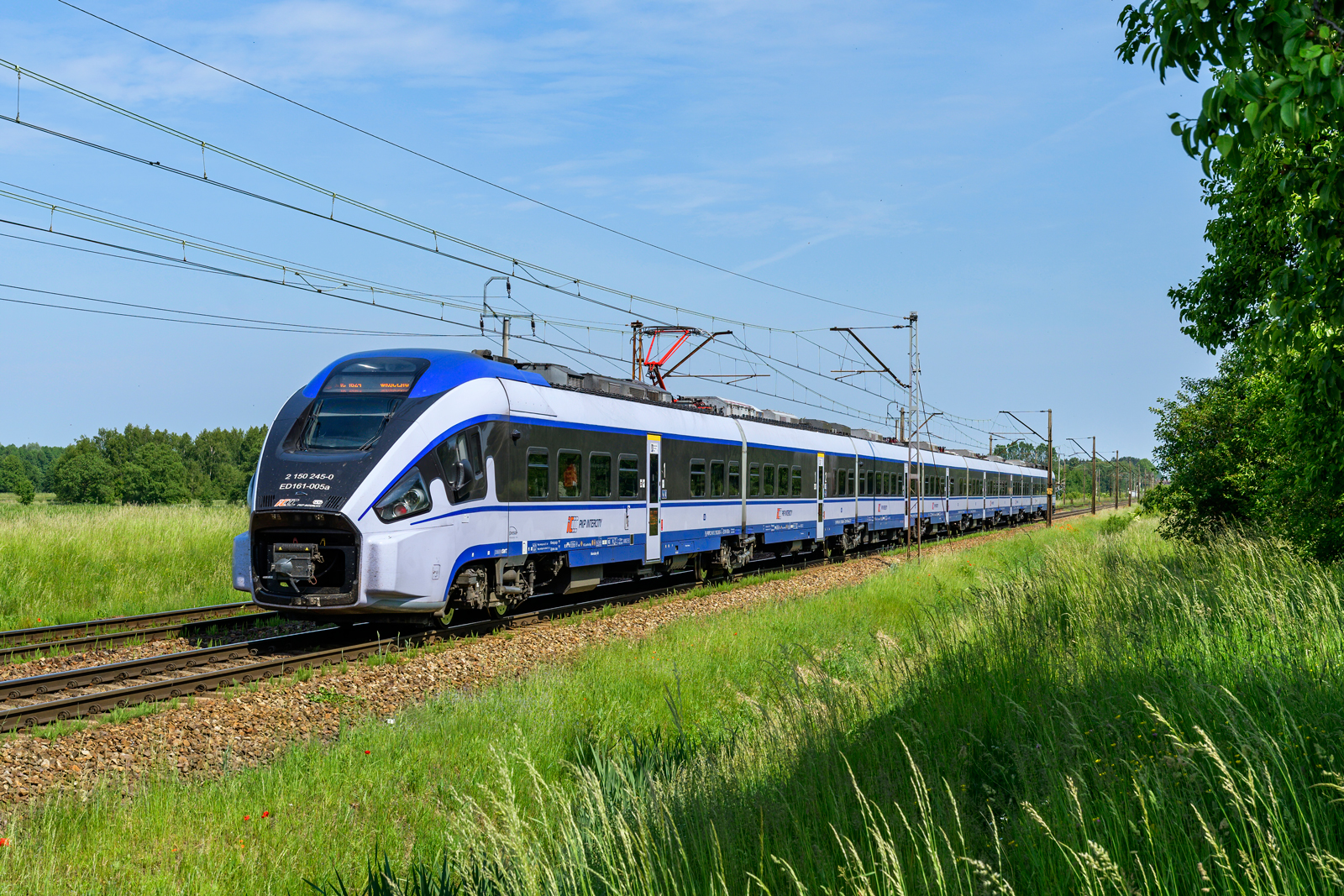 ED161-005
