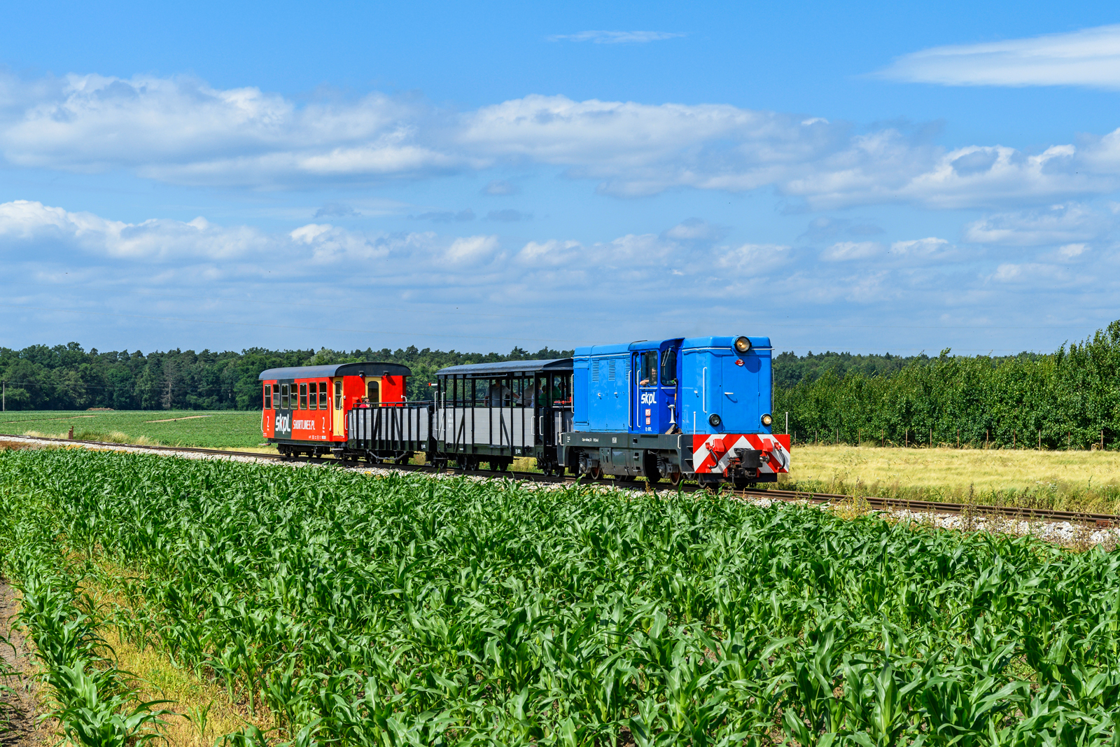 Lxd2-303