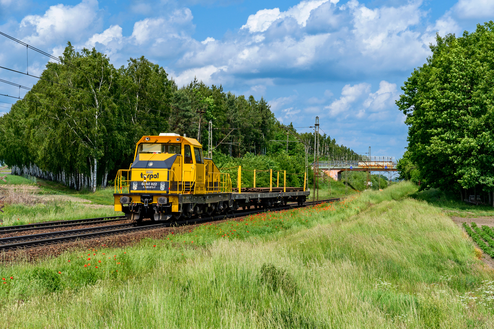 6Dh-1-022