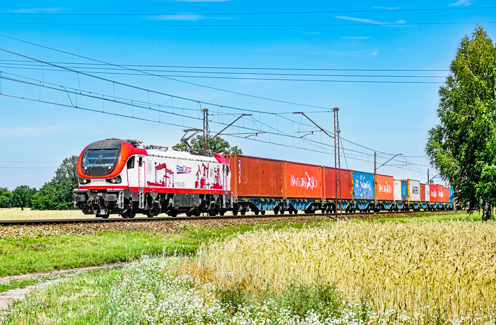 111Ed-025
