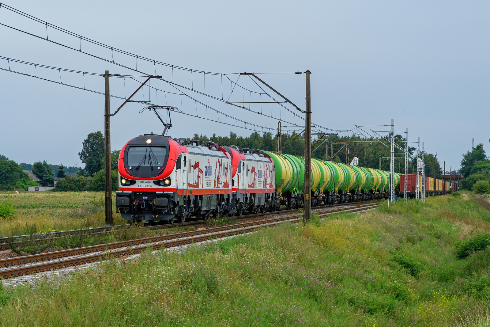 111Ed-088
