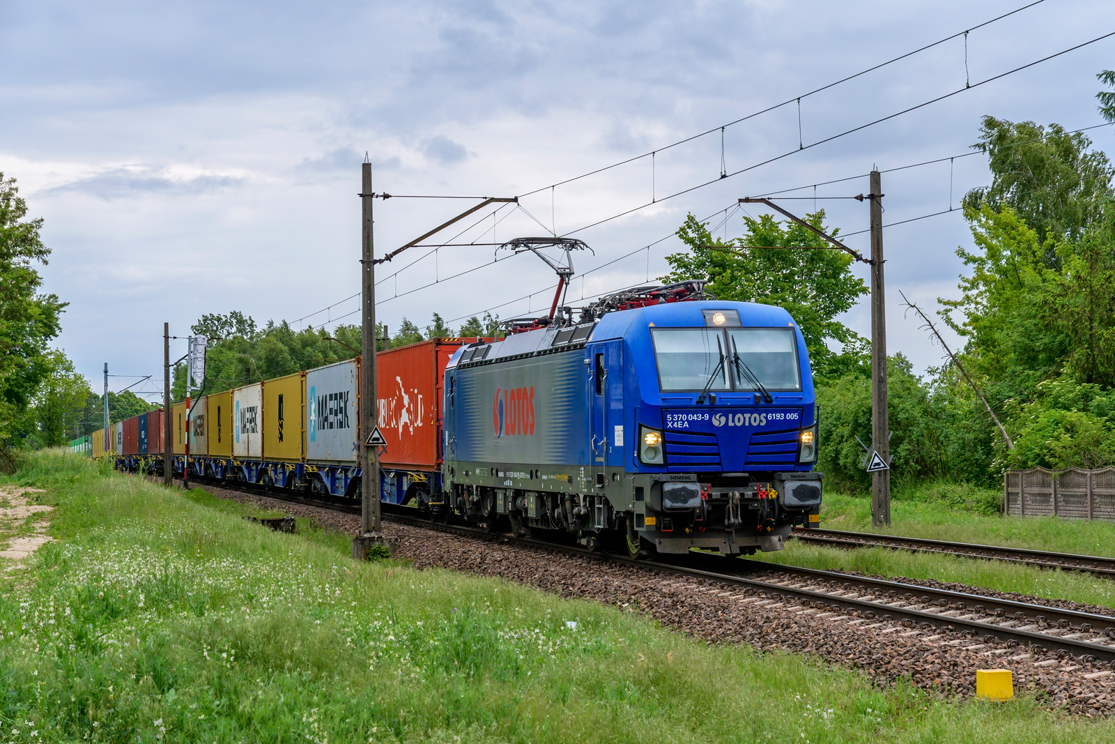 6193 005