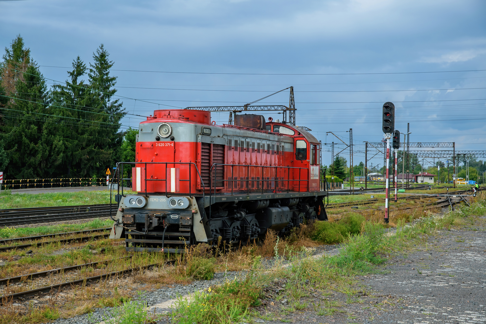 TEM2-205