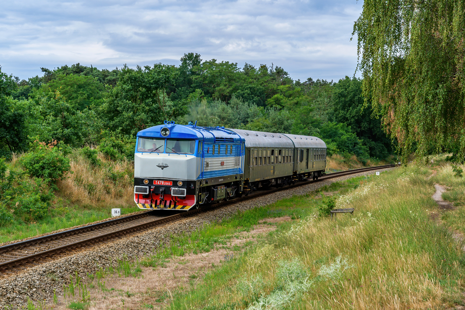 T478.2065