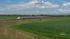 fra11 fra11