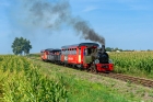 Las49-4968