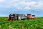 Las49-4968