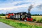 Las49-4968