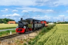 Las49-4968