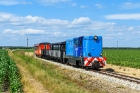 Lxd2-303