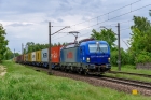 6193 005