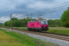 6193 557