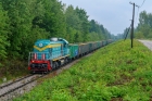 TEM2-052