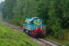 TEM2-052
