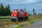 TEM2-205