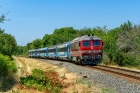 M41-1212