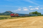 M41-1212